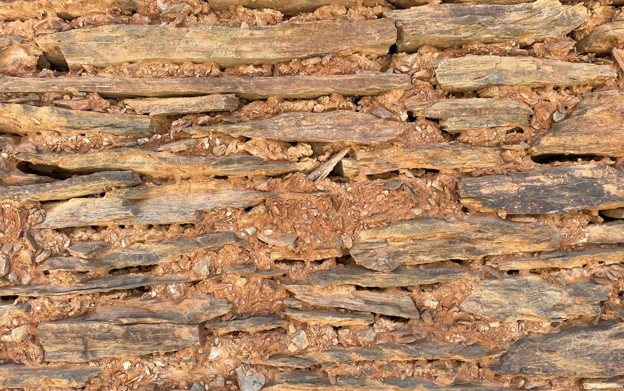 A close-up of a stone wall Description automatically generated